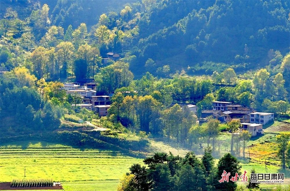 金秋十月,邂逅康县,山林斑斓、清泉汩汩,美丽乡村散布于山间的莽林幽谷之中,犹如被遗忘的世外桃源.新甘肃·每日甘肃网通讯员 黄培军 摄影报道(1) 图片