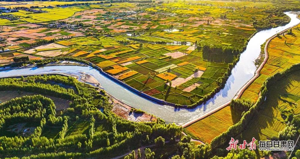 金秋时节,张掖市临泽县缓缓流淌的黑河水,宛如一条碧带,两岸丰收的田野在夕阳的映照下色彩斑斓,构成大自然最美的画卷。新甘肃·每日甘肃网通讯员 王将 张延平 摄影报道(2) 图片