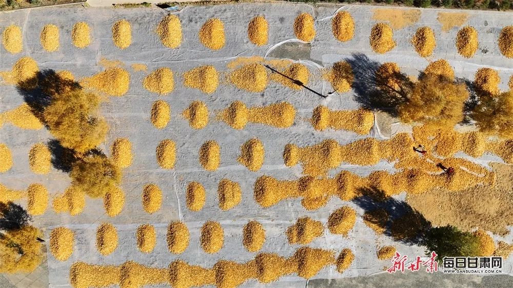 1697764178681061265.jpg 图片