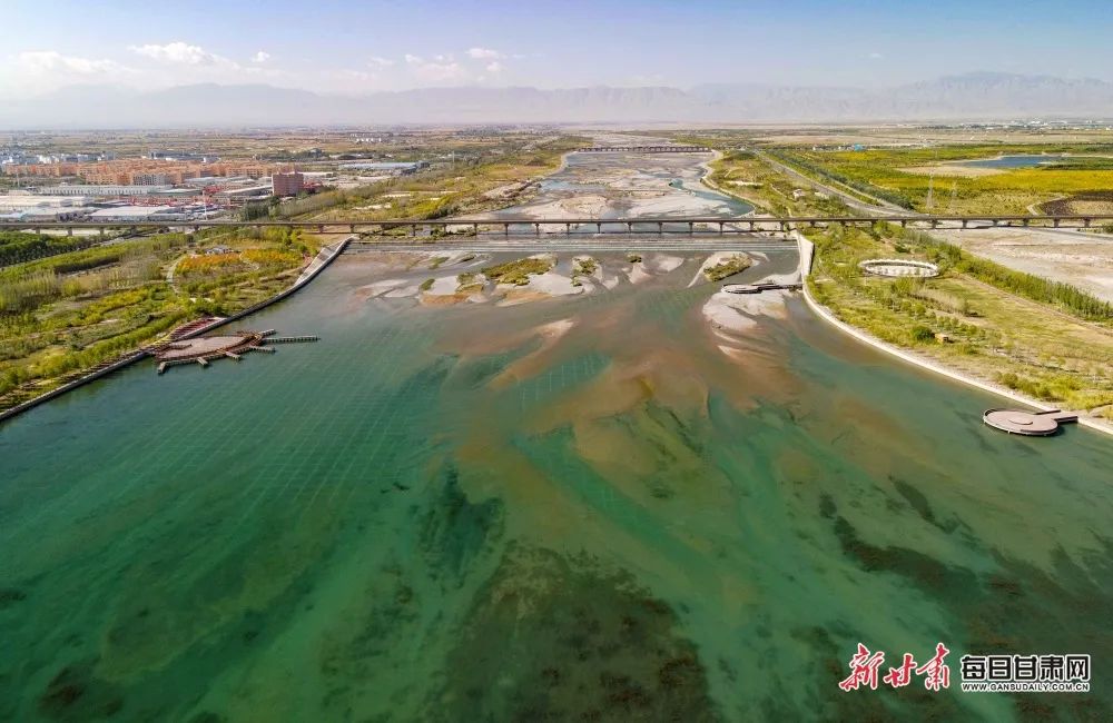 金秋九月,张掖市甘州区黑河两岸的树木渐渐由绿变黄,河水、蓝天、树林构成了一幅美丽的生态画卷。新甘肃·每日甘肃网通讯员 陈礼 摄影报道(1) 图片