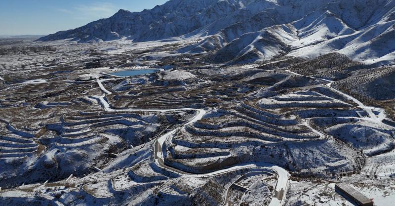 1735865785643143.jpg ba71648e-8d60-4707-ad7c-b9cc0b6688ee_m.jpg