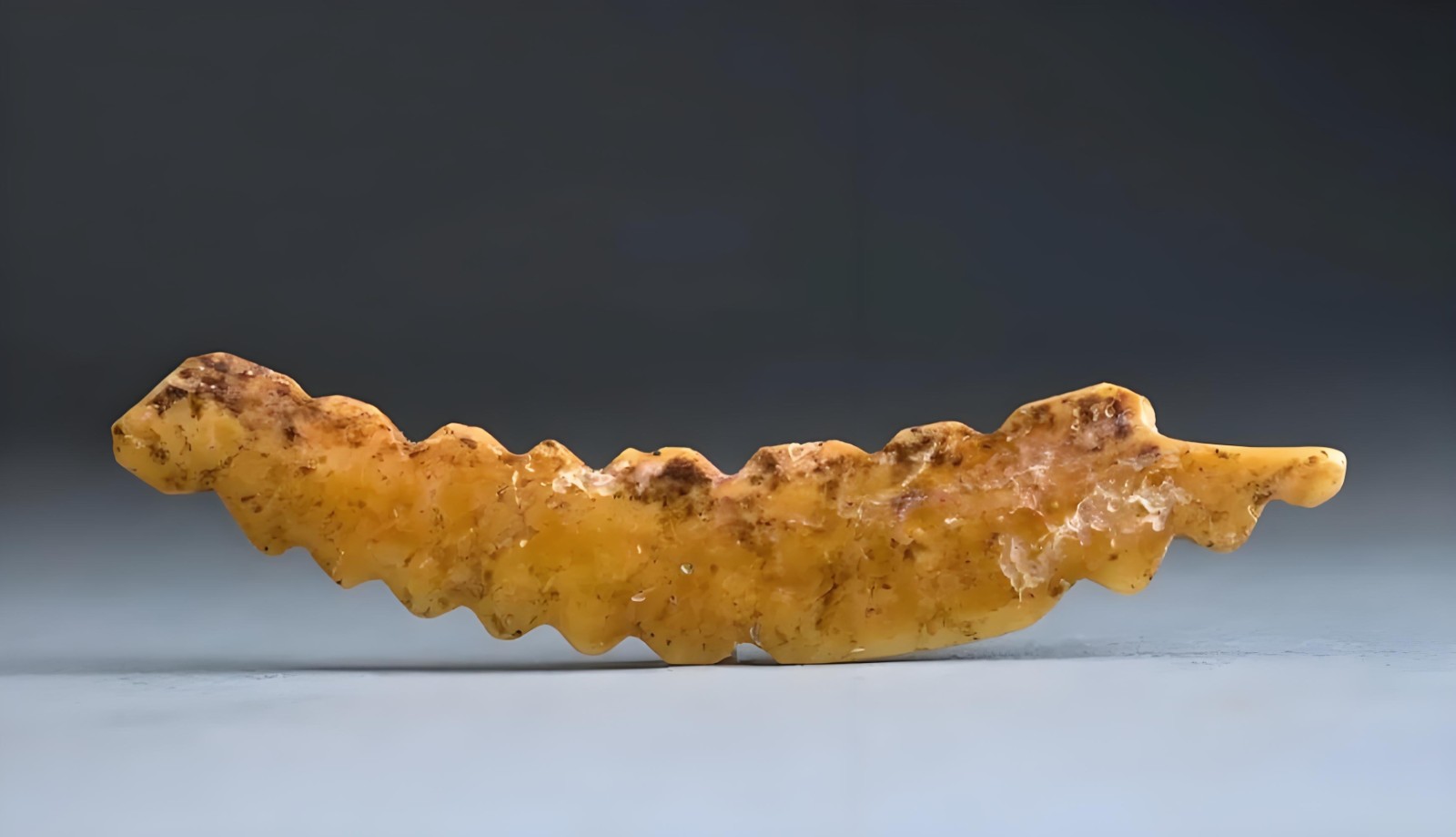 1749431024951787.jpg (拟发明日四版讲坛)(1216987)-20250609085430.jpg