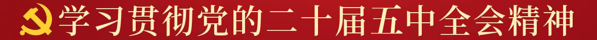 学习贯彻党的二十届四中全会精神